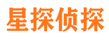 龙凤侦探公司